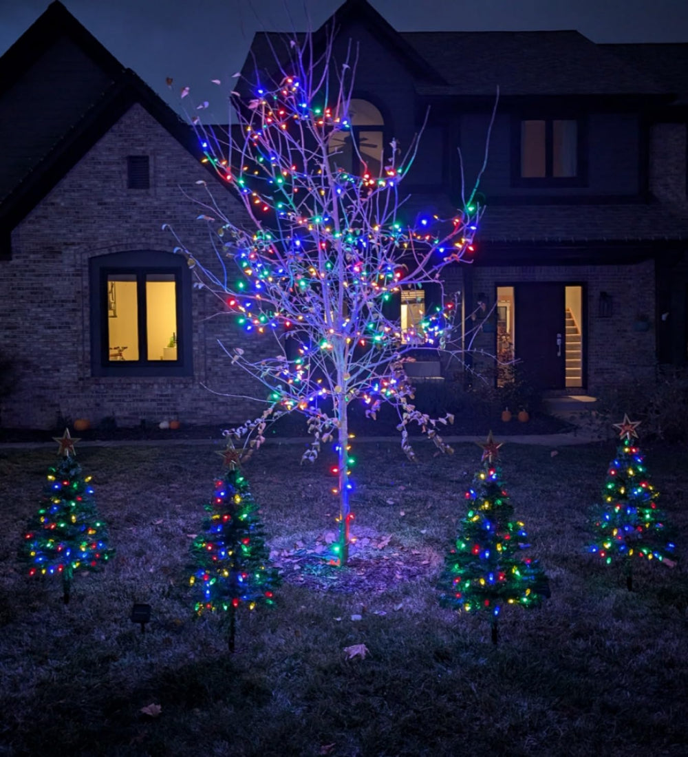 MerryTree - OutDoor Mini Christmas Trees
